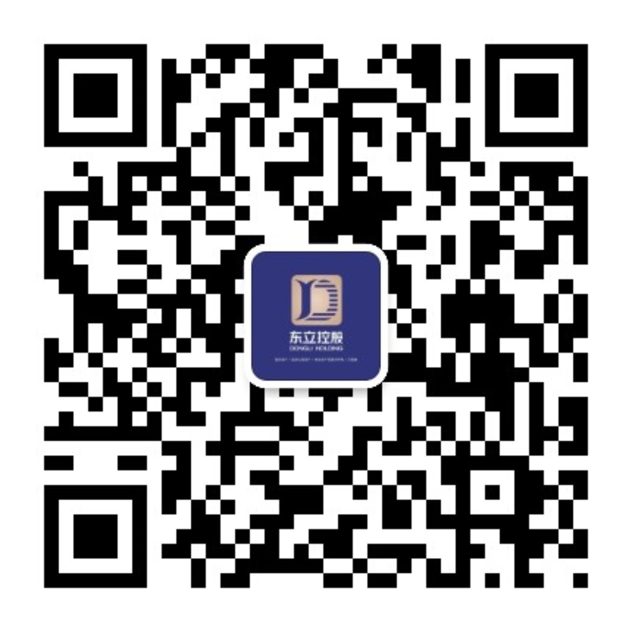 关注东立控股集团